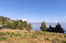 Property 7426 photo 17