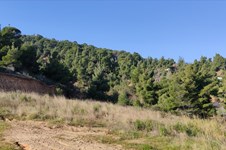 Property 7426 photo 18