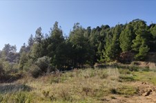 Property 7426 photo 19