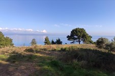 Property 7426 photo 20