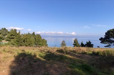 Property 7426 photo 21