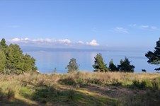 Property 7426 photo 22