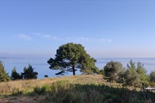 Property 7426 photo 23