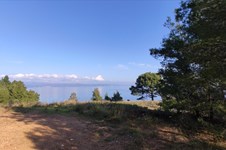 Property 7426 photo 24