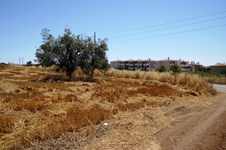 Property 7436 photo 1