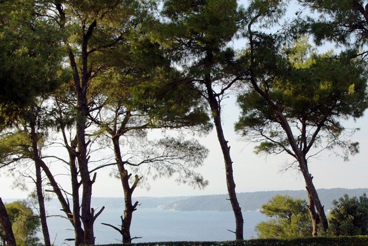Realty photo 3