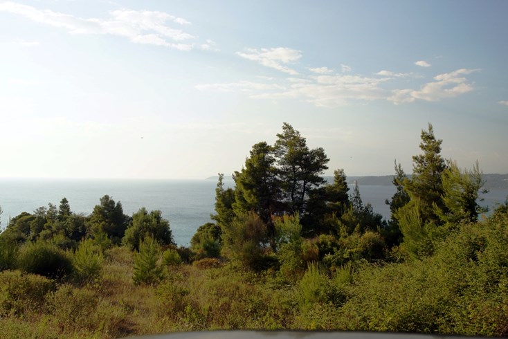 Realty photo 1