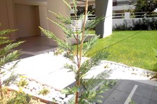 Property 7447 photo 9