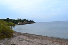 Property 7478 photo 3