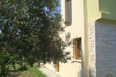 Property 748 photo 4
