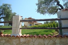 Property 748 photo 2
