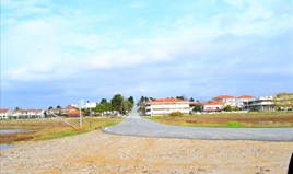Land 7554 m² auf Kassandra (Chalkidiki)
