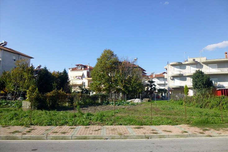 Realty photo 2