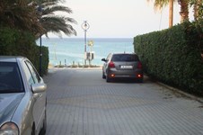 Property 755 photo 3