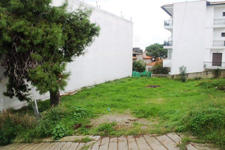 Realty photo 2