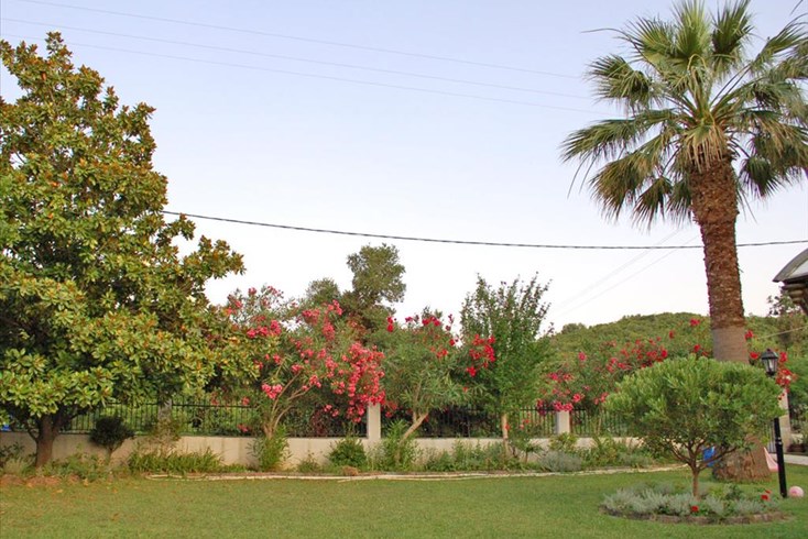 Realty photo 3