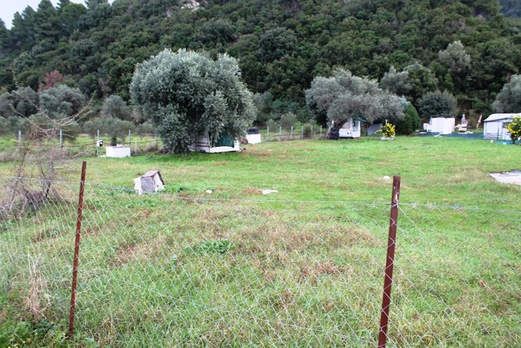 Realty photo 2