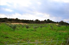 Property 7595 photo 2