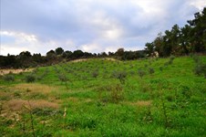 Property 7595 photo 3