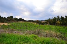 Property 7595 photo 4