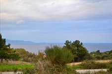 Property 7595 photo 5