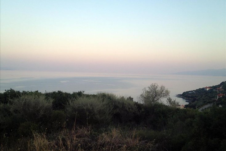 Realty photo 2