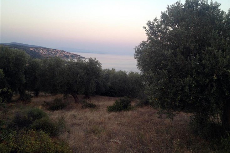 Realty photo 3