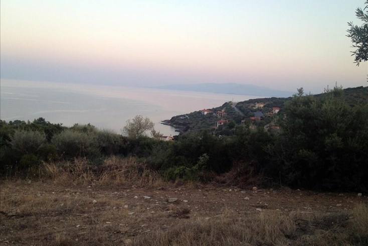 Realty photo 1