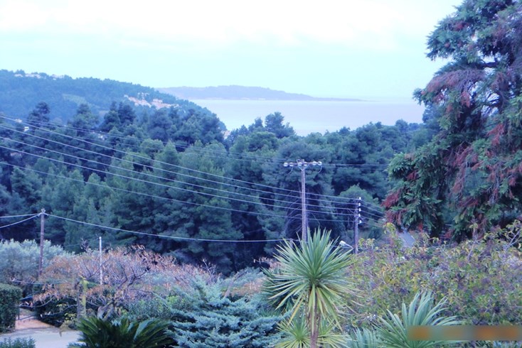 Realty photo 3