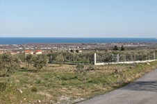 Property 7657 photo 1