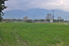 Property 7666 photo 2