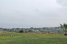 Property 7675 photo 3