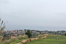 Property 7675 photo 4