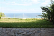 Property 770 photo 15