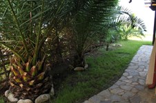 Property 770 photo 3