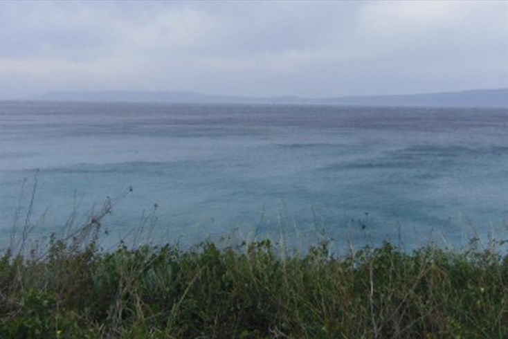 Realty photo 2