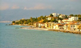 Land 2465 m² in Western Peloponnese