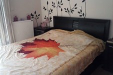 Property 7779 photo 3