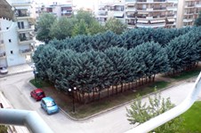 Property 7779 photo 1