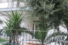 Property 7855 photo 1