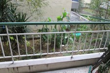 Property 7909 photo 7