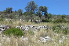 Property 7915 photo 4
