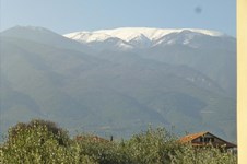 Property 7947 photo 14