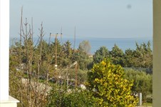 Property 7947 photo 13