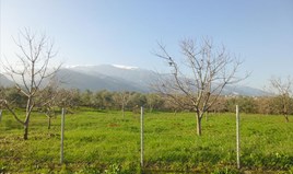 Парцел 10000 m² на Олимпийската Ривиера