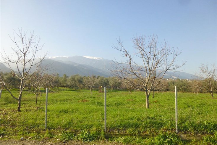 Realty photo 1