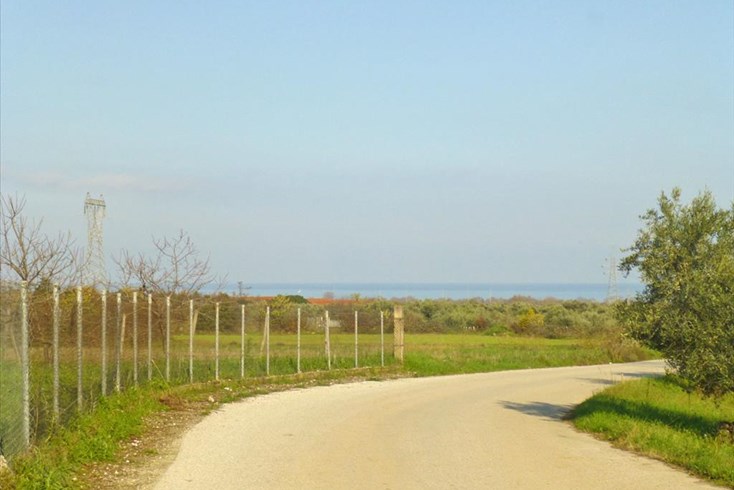 Realty photo 3