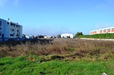Property 8033 photo 3