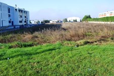 Property 8033 photo 6