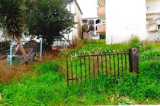 Property 8066 photo 1